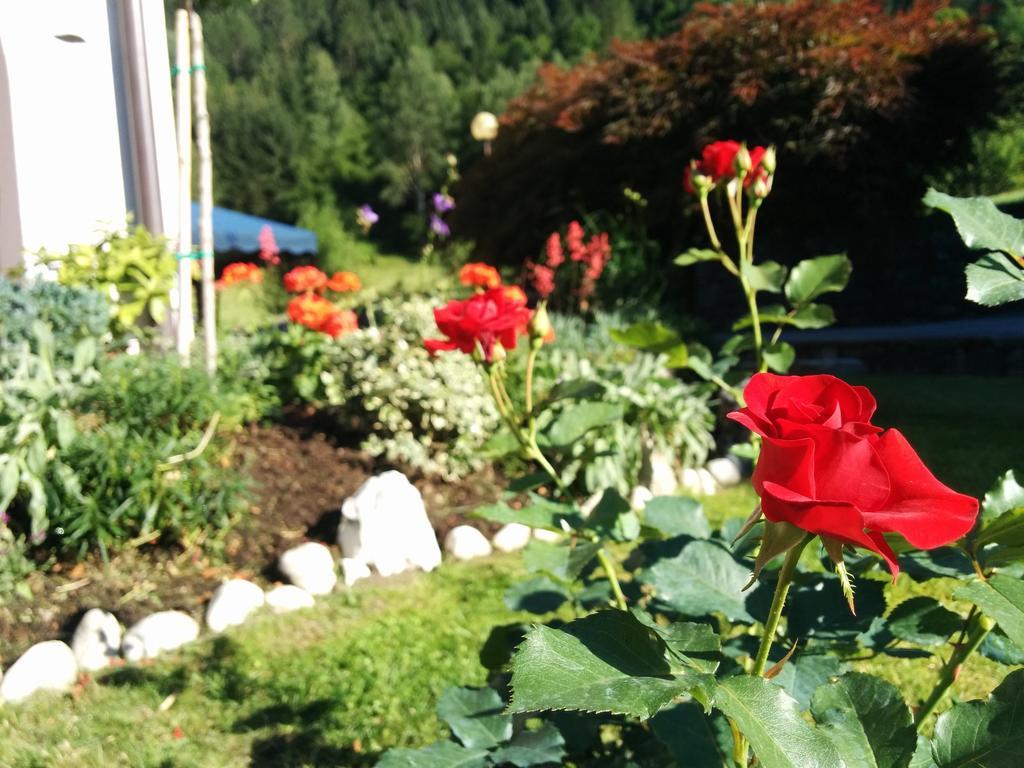 Villetta Val Di Sole Commezzadura Extérieur photo