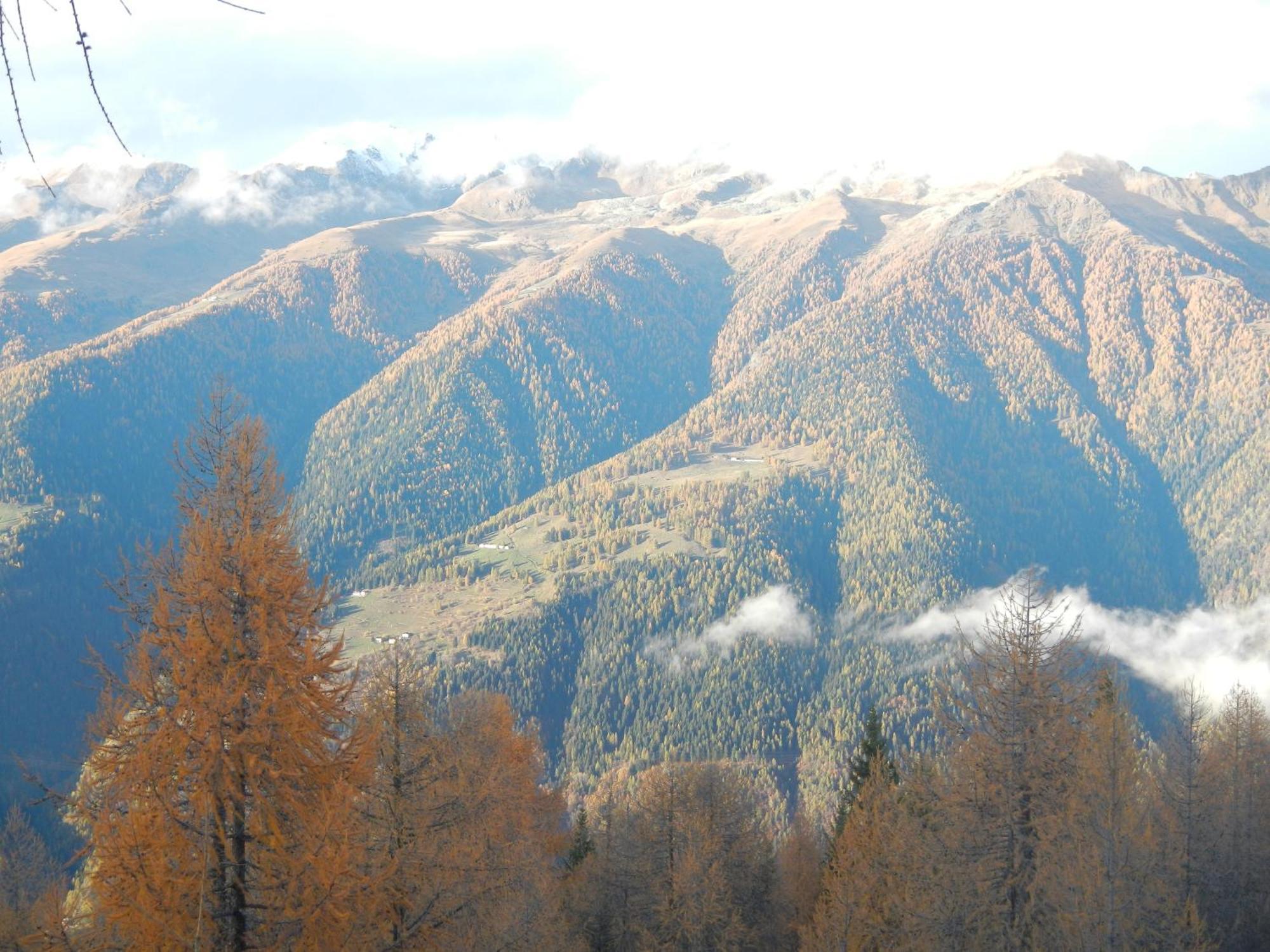 Villetta Val Di Sole Commezzadura Extérieur photo
